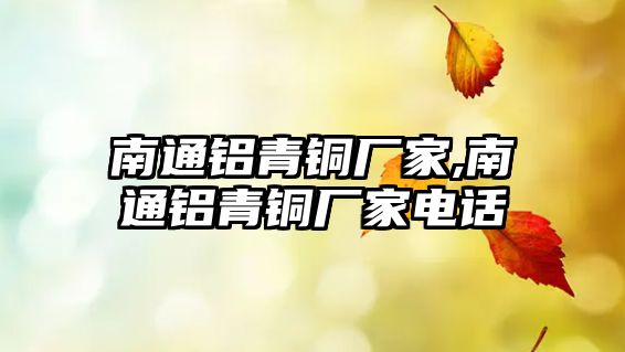 南通鋁青銅廠家,南通鋁青銅廠家電話