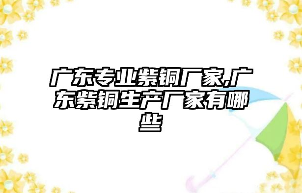 廣東專業(yè)紫銅廠家,廣東紫銅生產(chǎn)廠家有哪些