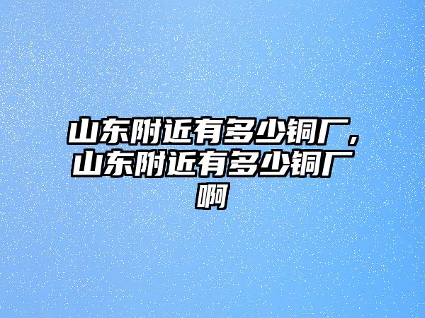 山東附近有多少銅廠,山東附近有多少銅廠啊