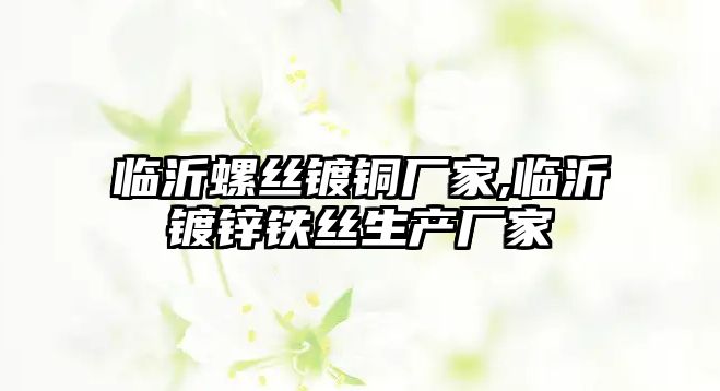 臨沂螺絲鍍銅廠家,臨沂鍍鋅鐵絲生產(chǎn)廠家