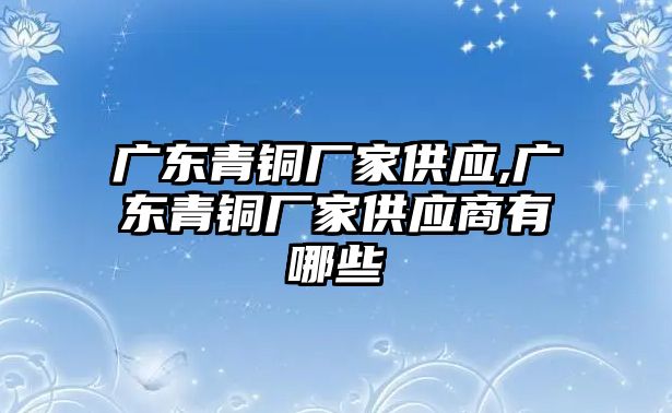 廣東青銅廠家供應(yīng),廣東青銅廠家供應(yīng)商有哪些