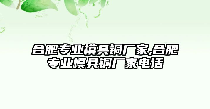 合肥專業(yè)模具銅廠家,合肥專業(yè)模具銅廠家電話