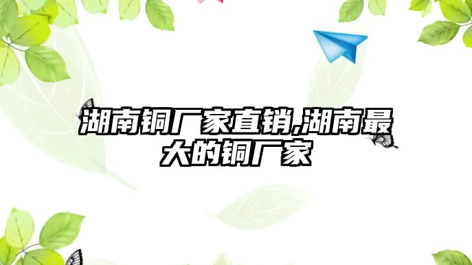 湖南銅廠家直銷,湖南最大的銅廠家