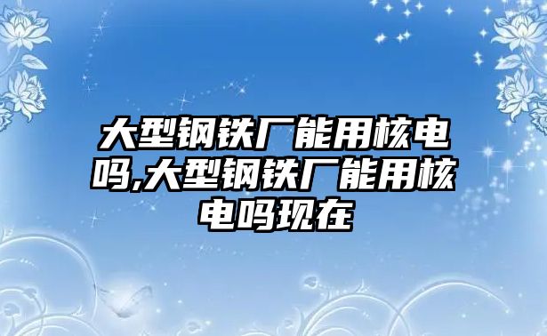 大型鋼鐵廠能用核電嗎,大型鋼鐵廠能用核電嗎現(xiàn)在