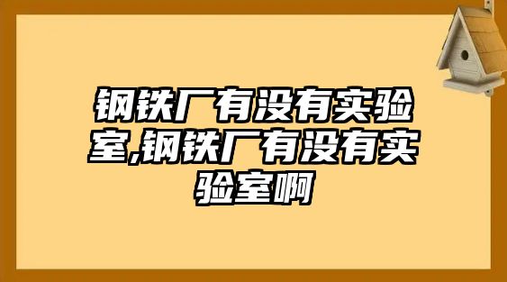 鋼鐵廠有沒有實(shí)驗(yàn)室,鋼鐵廠有沒有實(shí)驗(yàn)室啊