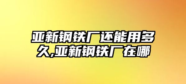 亞新鋼鐵廠還能用多久,亞新鋼鐵廠在哪