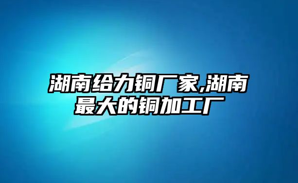 湖南給力銅廠家,湖南最大的銅加工廠