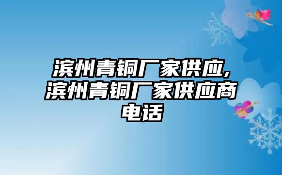 濱州青銅廠家供應(yīng),濱州青銅廠家供應(yīng)商電話