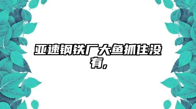 亞速鋼鐵廠大魚抓住沒有,