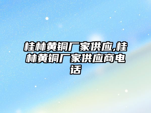 桂林黃銅廠家供應,桂林黃銅廠家供應商電話