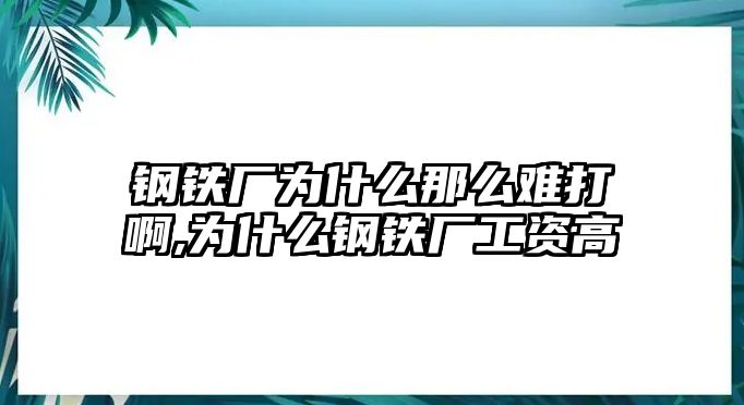 鋼鐵廠為什么那么難打啊,為什么鋼鐵廠工資高