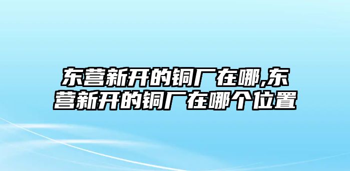 東營(yíng)新開(kāi)的銅廠在哪,東營(yíng)新開(kāi)的銅廠在哪個(gè)位置