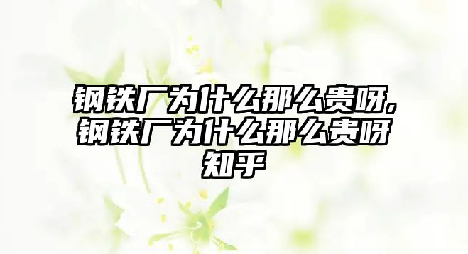 鋼鐵廠為什么那么貴呀,鋼鐵廠為什么那么貴呀知乎