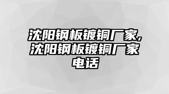 沈陽(yáng)鋼板鍍銅廠家,沈陽(yáng)鋼板鍍銅廠家電話