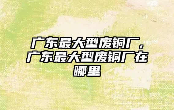 廣東最大型廢銅廠,廣東最大型廢銅廠在哪里