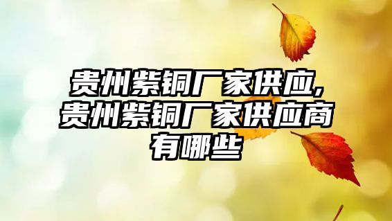 貴州紫銅廠家供應,貴州紫銅廠家供應商有哪些