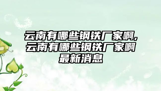 云南有哪些鋼鐵廠家啊,云南有哪些鋼鐵廠家啊最新消息