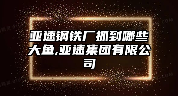 亞速鋼鐵廠抓到哪些大魚,亞速集團(tuán)有限公司