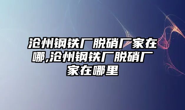 滄州鋼鐵廠脫硝廠家在哪,滄州鋼鐵廠脫硝廠家在哪里