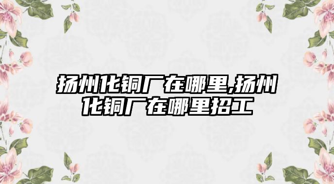 揚(yáng)州化銅廠在哪里,揚(yáng)州化銅廠在哪里招工