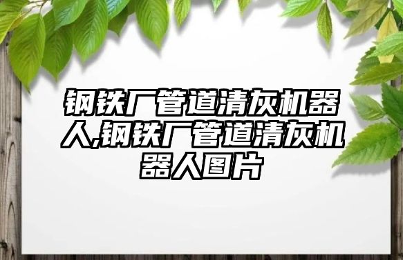 鋼鐵廠管道清灰機(jī)器人,鋼鐵廠管道清灰機(jī)器人圖片