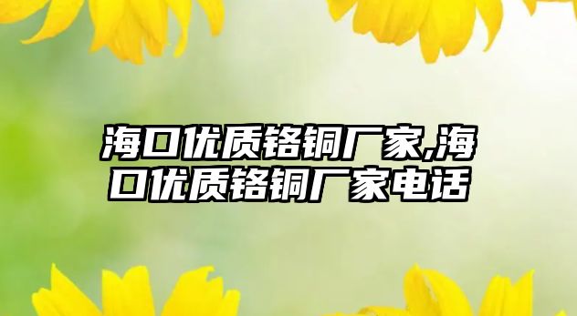 海口優(yōu)質(zhì)鉻銅廠家,?？趦?yōu)質(zhì)鉻銅廠家電話