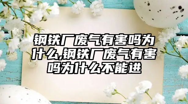 鋼鐵廠廢氣有害嗎為什么,鋼鐵廠廢氣有害嗎為什么不能進