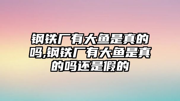 鋼鐵廠有大魚是真的嗎,鋼鐵廠有大魚是真的嗎還是假的