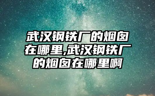 武漢鋼鐵廠的煙囪在哪里,武漢鋼鐵廠的煙囪在哪里啊