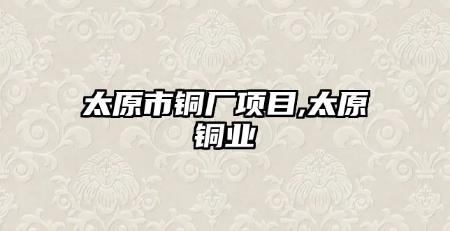 太原市銅廠項目,太原銅業(yè)