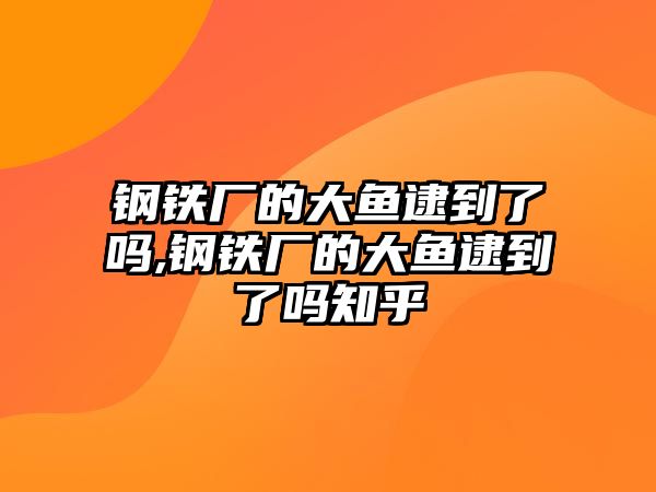 鋼鐵廠的大魚逮到了嗎,鋼鐵廠的大魚逮到了嗎知乎