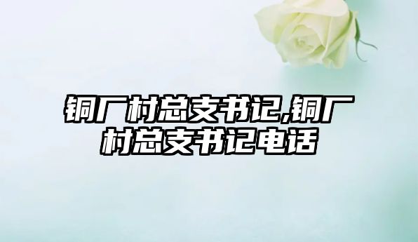 銅廠村總支書記,銅廠村總支書記電話