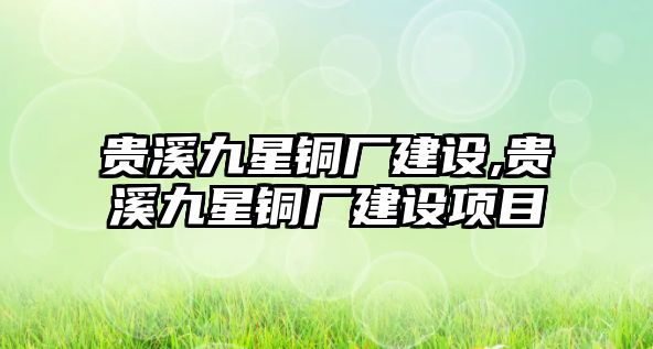 貴溪九星銅廠建設,貴溪九星銅廠建設項目