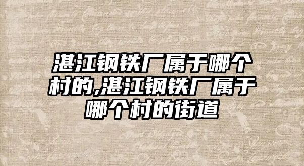 湛江鋼鐵廠屬于哪個村的,湛江鋼鐵廠屬于哪個村的街道