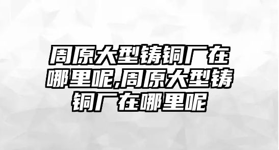 周原大型鑄銅廠在哪里呢,周原大型鑄銅廠在哪里呢