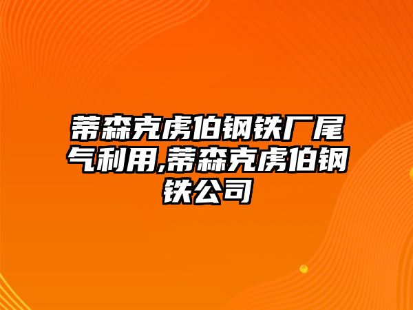 蒂森克虜伯鋼鐵廠尾氣利用,蒂森克虜伯鋼鐵公司