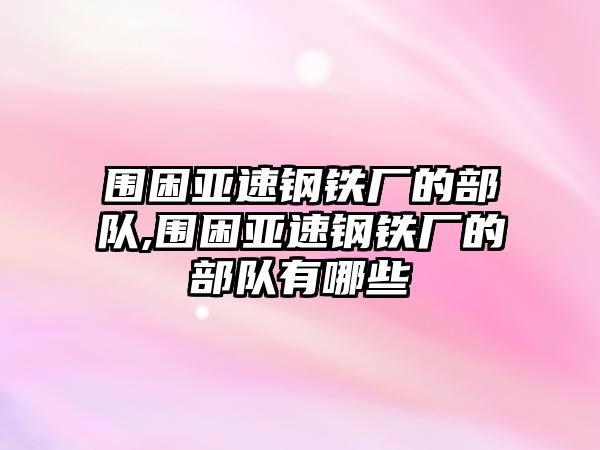 圍困亞速鋼鐵廠的部隊(duì),圍困亞速鋼鐵廠的部隊(duì)有哪些