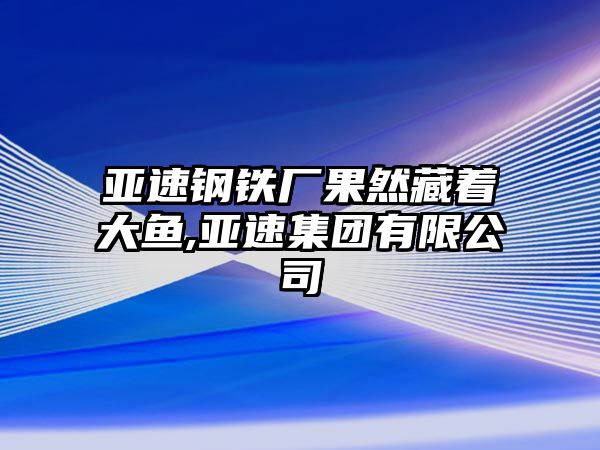 亞速鋼鐵廠果然藏著大魚,亞速集團(tuán)有限公司