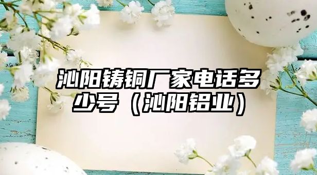 沁陽鑄銅廠家電話多少號（沁陽鋁業(yè)）