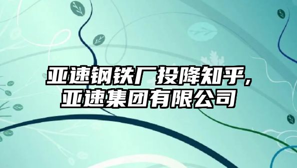 亞速鋼鐵廠投降知乎,亞速集團有限公司